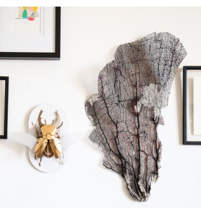 Kit de pliage papier Stag beetle doré - Trophée assembli