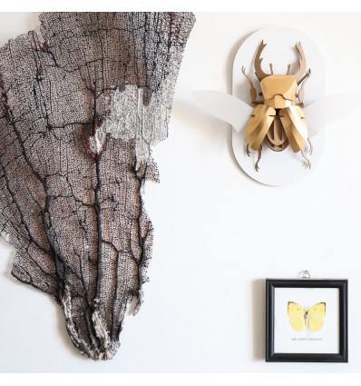 Kit de pliage papier Stag beetle doré - Trophée assembli