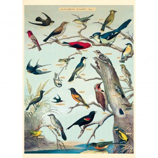 Affiche vintage oiseaux Audubon - Cavallini & Co 2