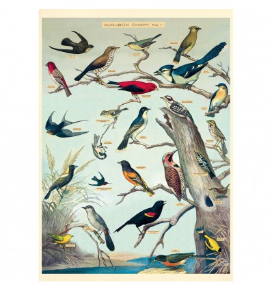Affiche vintage oiseaux Audubon - Cavallini & Co