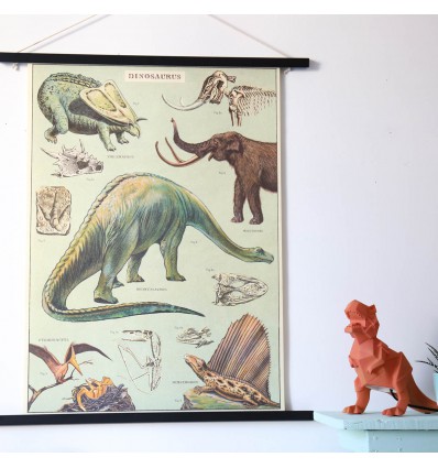 Affiche pédagogique dinosaures - Cavallini & Co