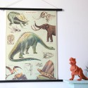 Affiche pédagogique dinosaures - Cavallini & Co