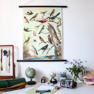 Affiche vintage oiseaux Audubon - Cavallini & Co