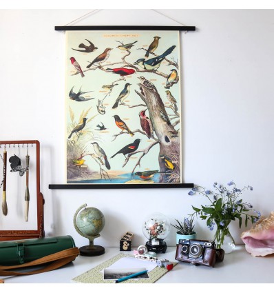 Affiche vintage oiseaux Audubon - Cavallini & Co