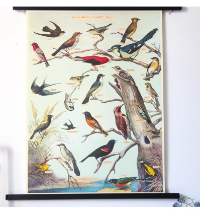 Affiche vintage oiseaux Audubon - Cavallini & Co
