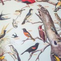 Affiche vintage oiseaux Audubon - Cavallini & Co