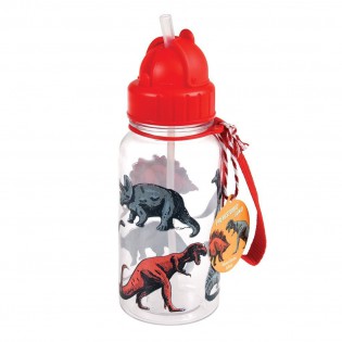 Petite gourde Dinosaures 500ml - Rex 2