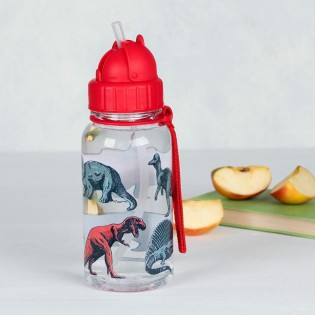 Petite gourde Dinosaures 500ml - Rex