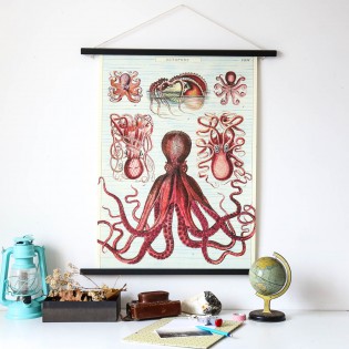Affiche pédagogique octopus - Cavallini & Co