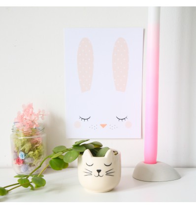 Mini pot pour plante chat - Sass & Belle