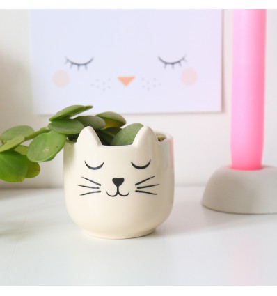 Mini pot pour plante chat - Sass & Belle