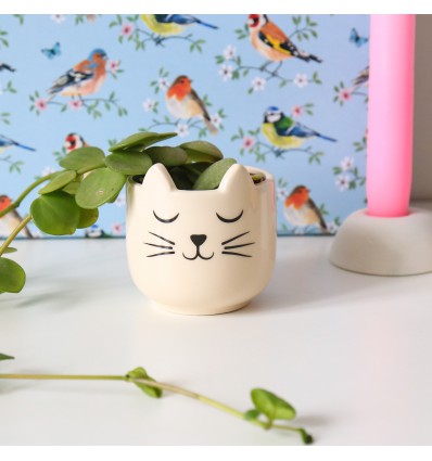 Mini pot pour plante chat - Sass & Belle