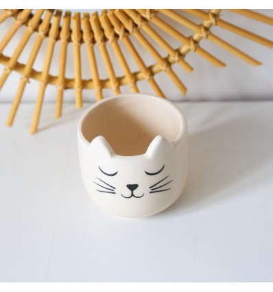 Mini pot pour plante chat - Sass & Belle