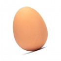 Oeuf rebondissant !