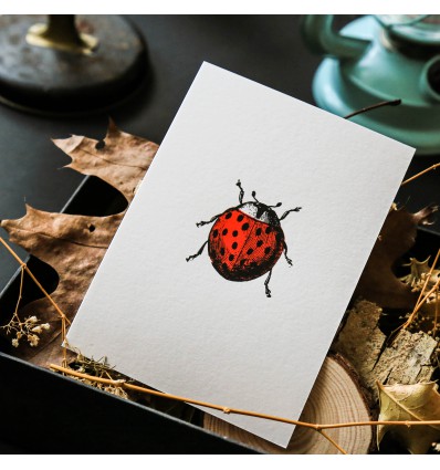 Carte Letterpress Coccinelle
