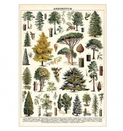 Affiche arbres de la forêt rétro - Cavallini