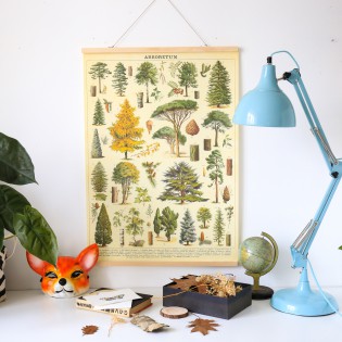 Affiche arbres de la forêt rétro - Cavallini