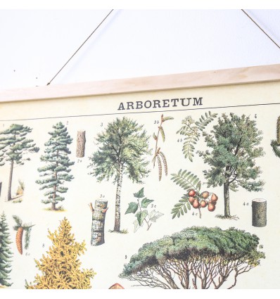 Affiche arbres de la forêt rétro - Cavallini