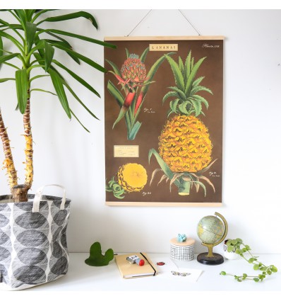 Affiche rétro ananas - Cavallini