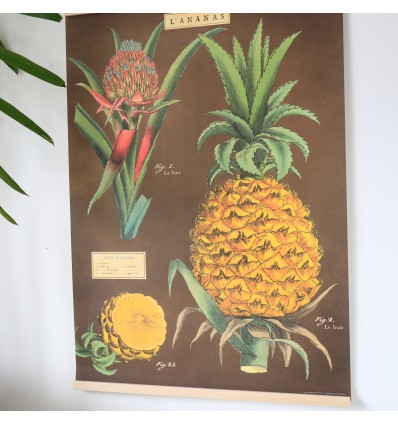 Affiche rétro ananas - Cavallini