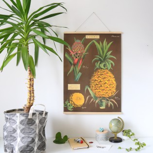 Affiche rétro ananas - Cavallini