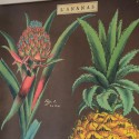 Affiche rétro ananas - Cavallini