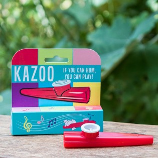 Kazoo instrument de musique !  Rex