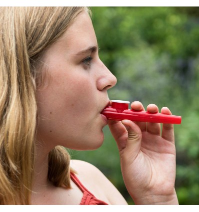 Kazoo instrument de musique !  Rex