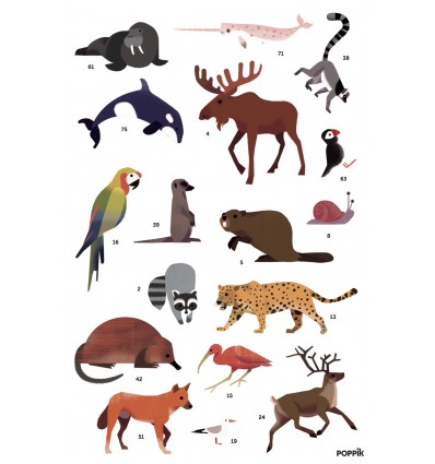 Poster & stickers Animaux du Monde - Poppik