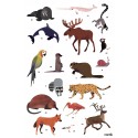 Poster & stickers Animaux du Monde - Poppik