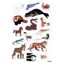 Poster & stickers Animaux du Monde - Poppik