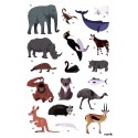 Poster & stickers Animaux du Monde - Poppik