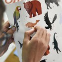 Poster & stickers Animaux du Monde - Poppik