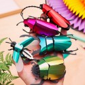 Insecte DIY Rosalia Beetle Rouge - Assembli