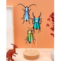 Insecte DIY Rosalia Beetle Rouge - Assembli