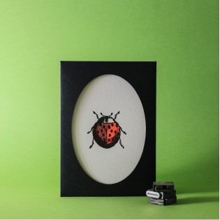 Carte Letterpress Coccinelle 2