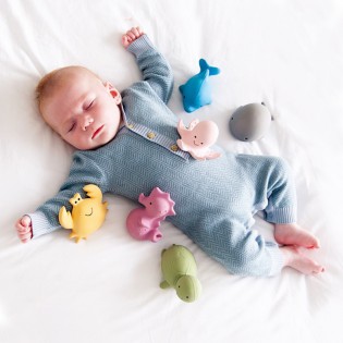 Animal marin Tikiri en gomme naturelle