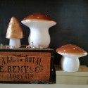 Lampe veilleuse champignon Cuivre (S) - Egmont Toys