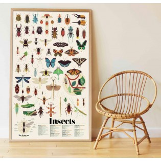 Poster & stickers Insectes - Poppik 2