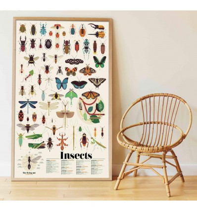 Poster & stickers Insectes - Poppik