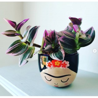Mini pot Frida - Sass & Belle