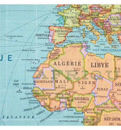 Carte du monde 2020 style vintage - Pappus Editions