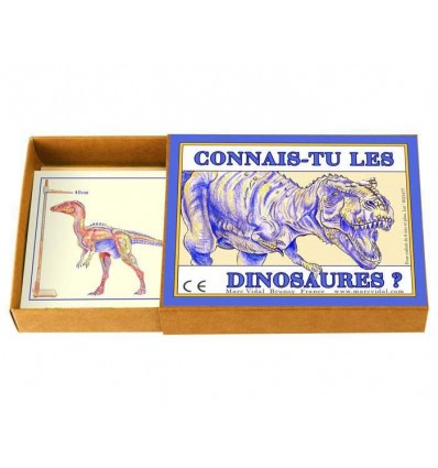 Connais-tu les dinosaures ? - Marc Vidal
