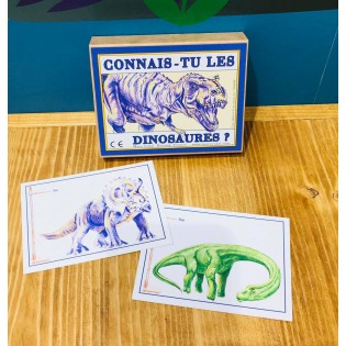 Connais-tu les dinosaures ? - Marc Vidal 2