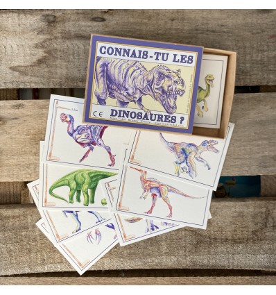 Connais-tu les dinosaures ? - Marc Vidal