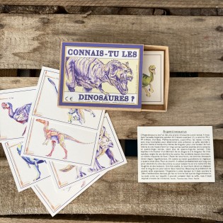 Connais-tu les dinosaures ? - Marc Vidal