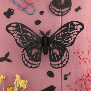 Insecte DIY Papillon Noir - Assembli 2
