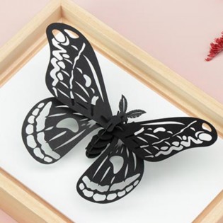 Insecte DIY Papillon Noir - Assembli