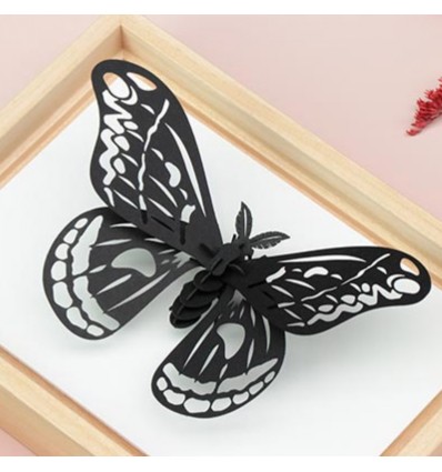 Insecte DIY Papillon Noir - Assembli