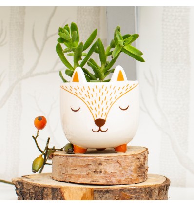 Mini pot pour plante renard - Sass & Belle